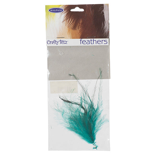Emu Feathers, 25pc