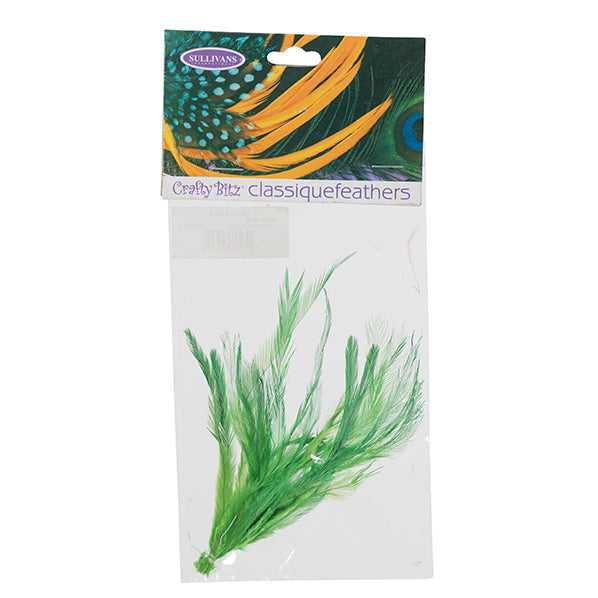 Emu Feathers, 25pc