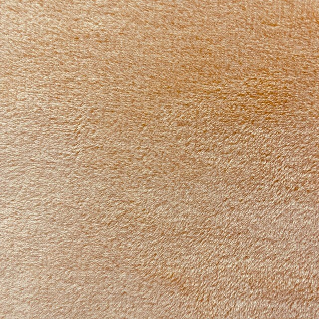 Coral Fleece Plain Fabric