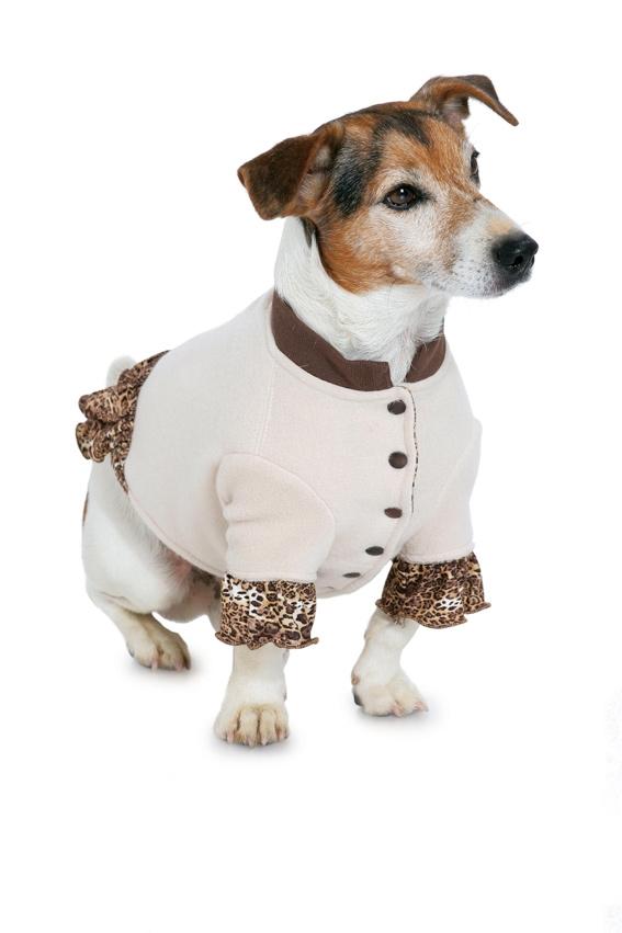 Burda Pattern 7752 Dog Coat (One Size)