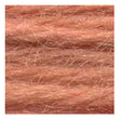 Sullivans Tapestry Wool, Anc/8322 Dmc/7164- 8m