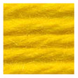 Sullivans Tapestry Wool, Anc/8096 Dmc/7435- 8m