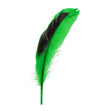 Duck Feather, Green & Black- 13cm