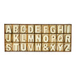 Makr Wood Alphabet Kit- 81pc
