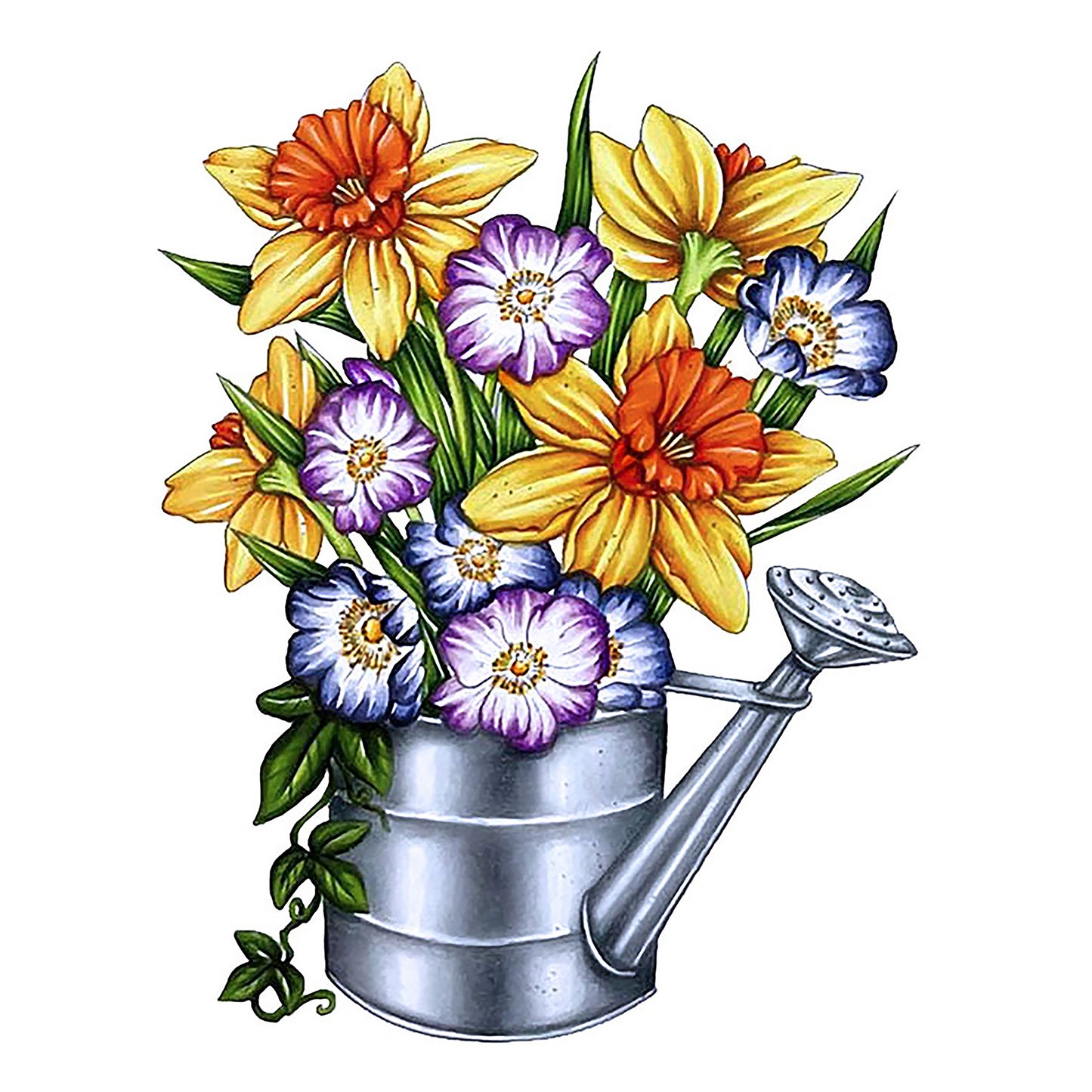 Vintage Blooms Stamp and Colour Set, Daffodils- 4pc