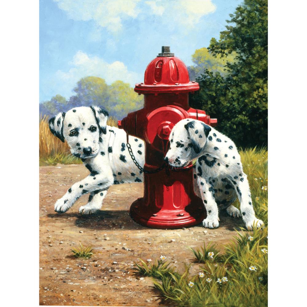 Royal Langnickel Junior Paint By Number Small, Peek A Boo- 8.75x11.75"