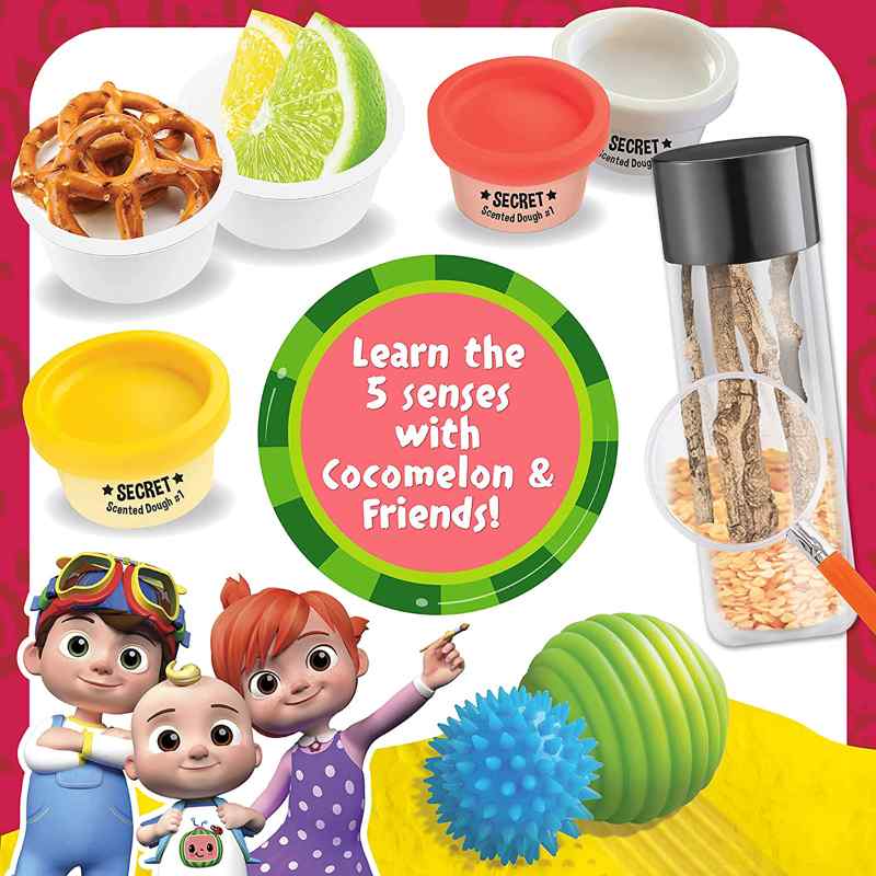 New sprouts play sale food set costco