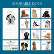 2024 Wall Calendars, Adorable Dogs- 12x12in