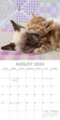 2024 Wall Calendars, Cats & Kittens- 12x12in