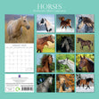 2024 Wall Calendars, Horses- 12x12in