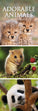 2024 Slimline Wall Calendars, Adorable Animals- 420x145mm