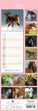 2024 Slimline Wall Calendars, Horses- 420x145mm