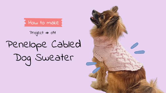 Penelope Cabled Dog Sweater