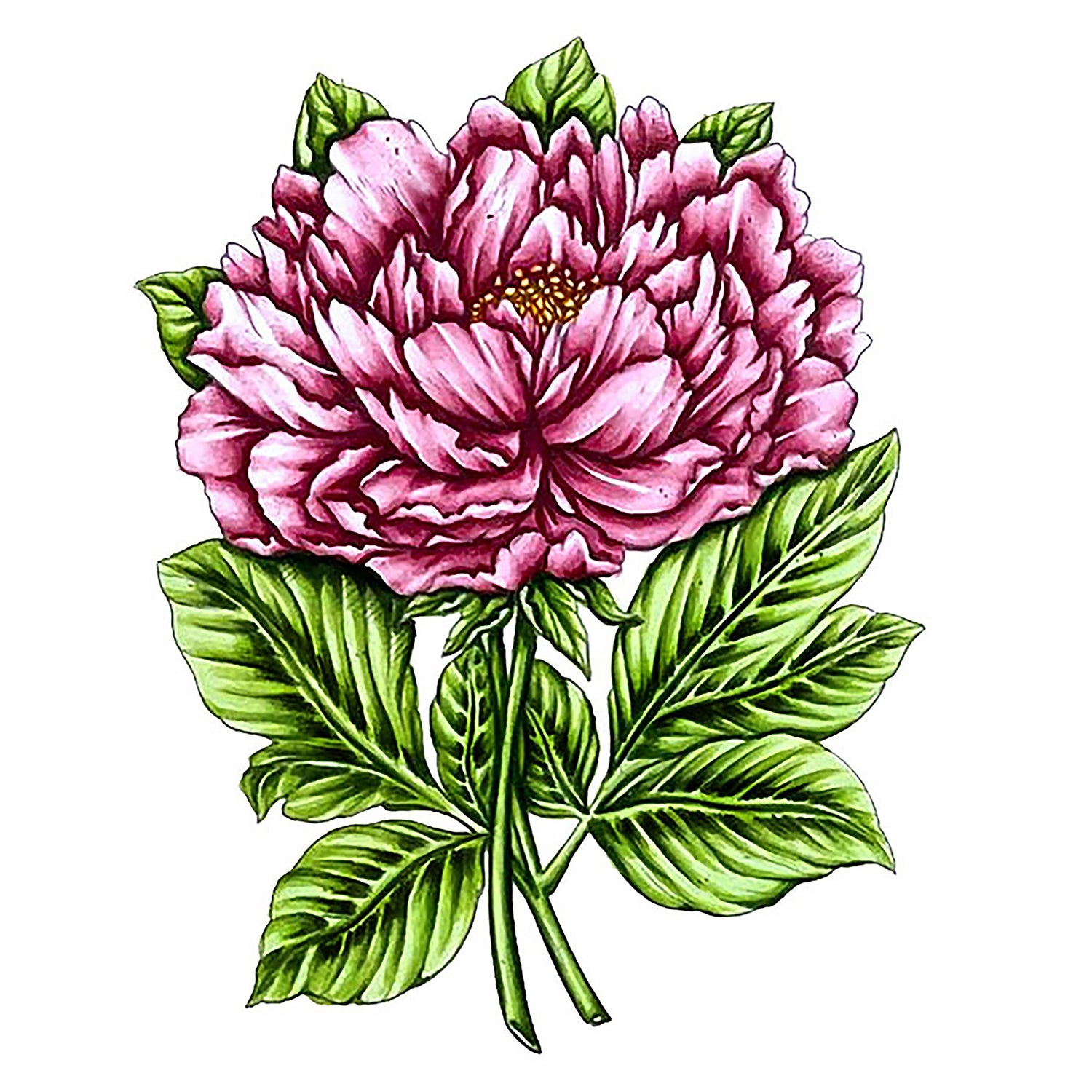 Craft Stamps