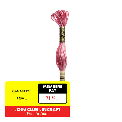 DMC Stranded Cotton Embroidery Thread 1-99