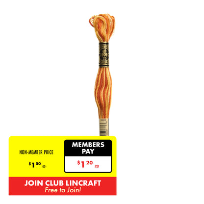 DMC Stranded Cotton Embroidery Thread 1-99