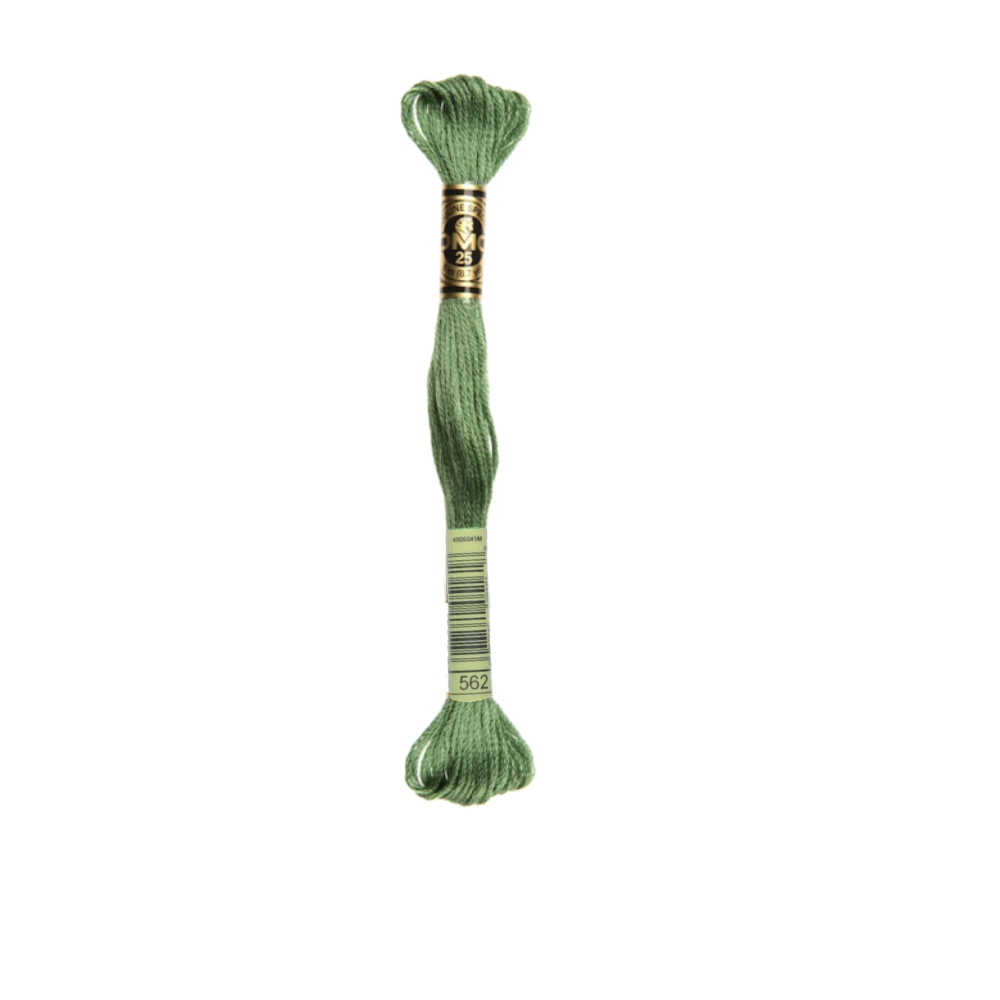 DMC Stranded Cotton Thread, 500-599