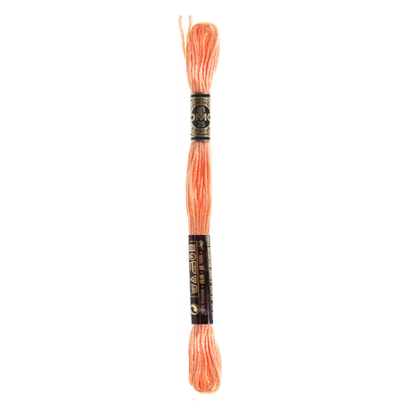 DMC Stranded Cotton Embroidery Thread, 3800-5200