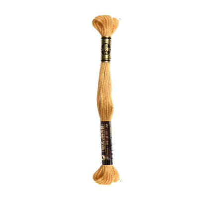 DMC Stranded Cotton Embroidery Thread, 3800-5200