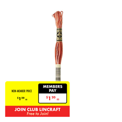 DMC Stranded Cotton Embroidery Thread 1-99