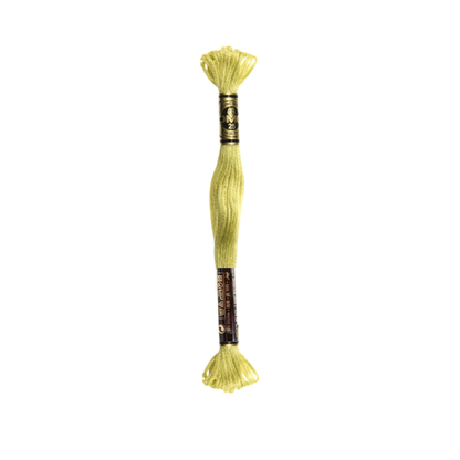DMC Stranded Cotton Thread, 100-299