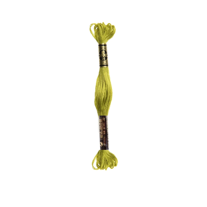 DMC Stranded Cotton Thread, 100-299