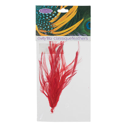 Emu Feathers, 25pc