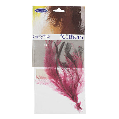 Emu Feathers, 25pc