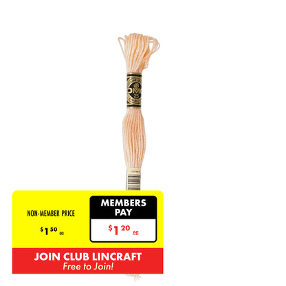 DMC Stranded Cotton Embroidery Thread 1-99