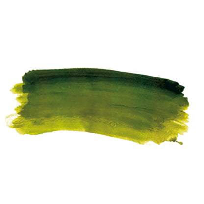 Chroma Archival Oil S3, 40ml