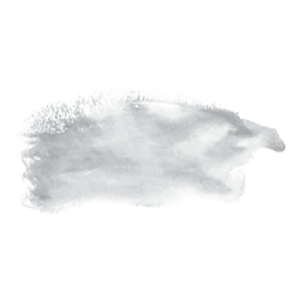 Chroma Archival Oil S3, 40ml