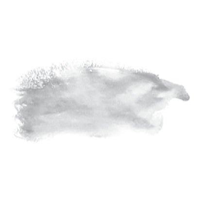 Chroma Archival Oil S3, 40ml