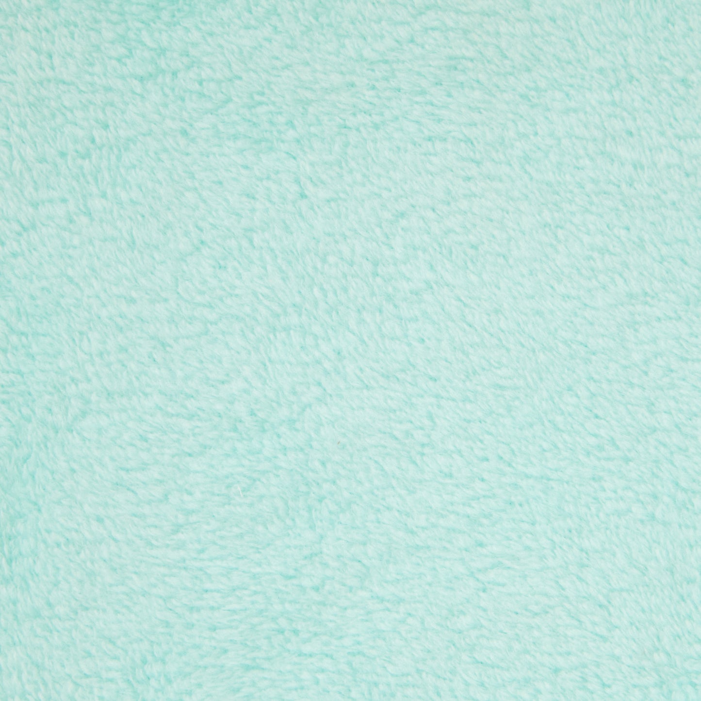 Coral Fleece Plain Fabric