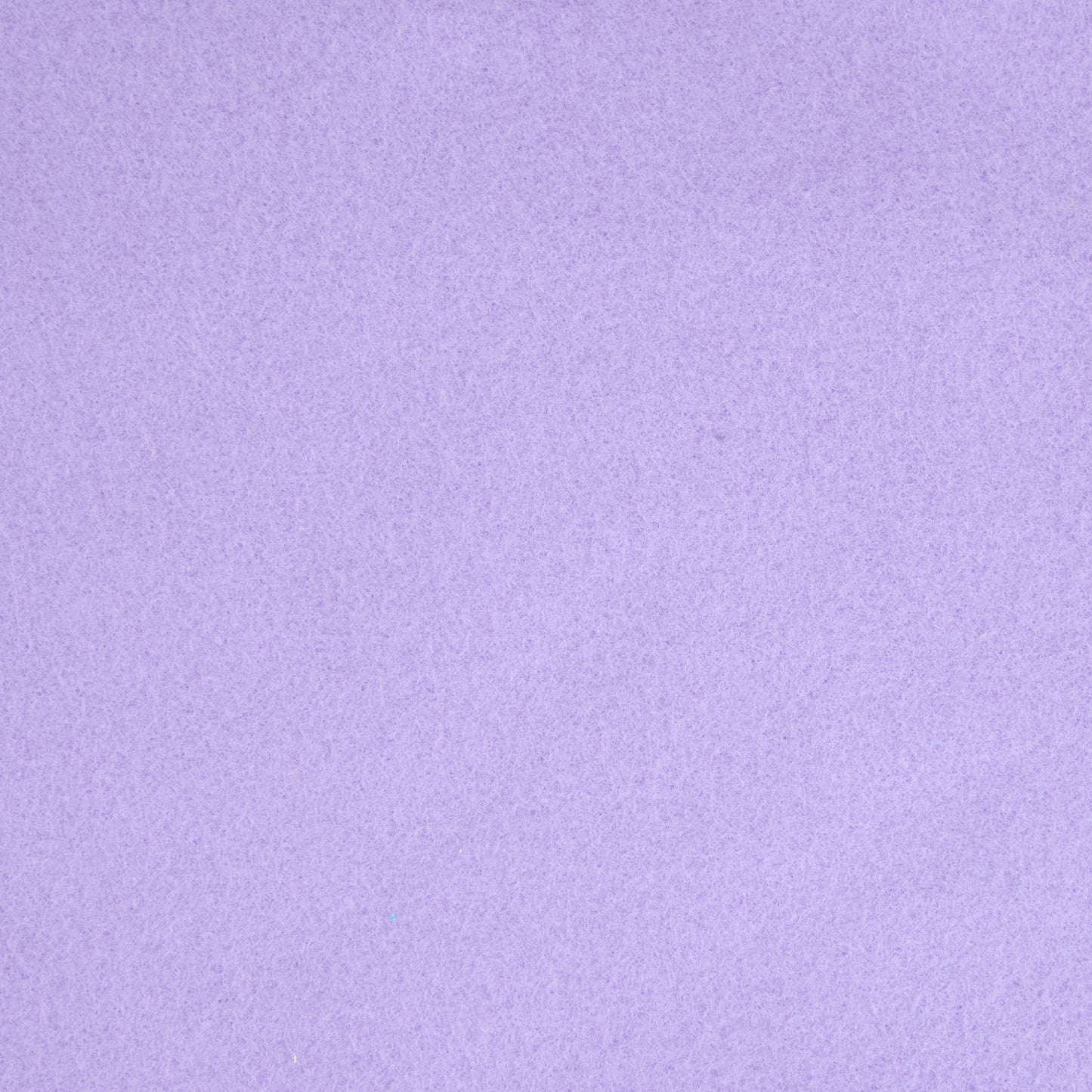 Plain Polar Fleece Fabric