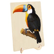 Puzzlemaster A3 Wood Display Puzzle, Toucan