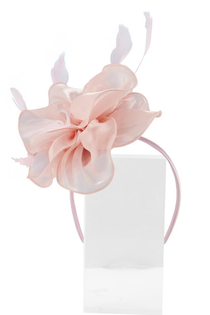 Headband And Clip Fascinator, Rose- Soft Pink