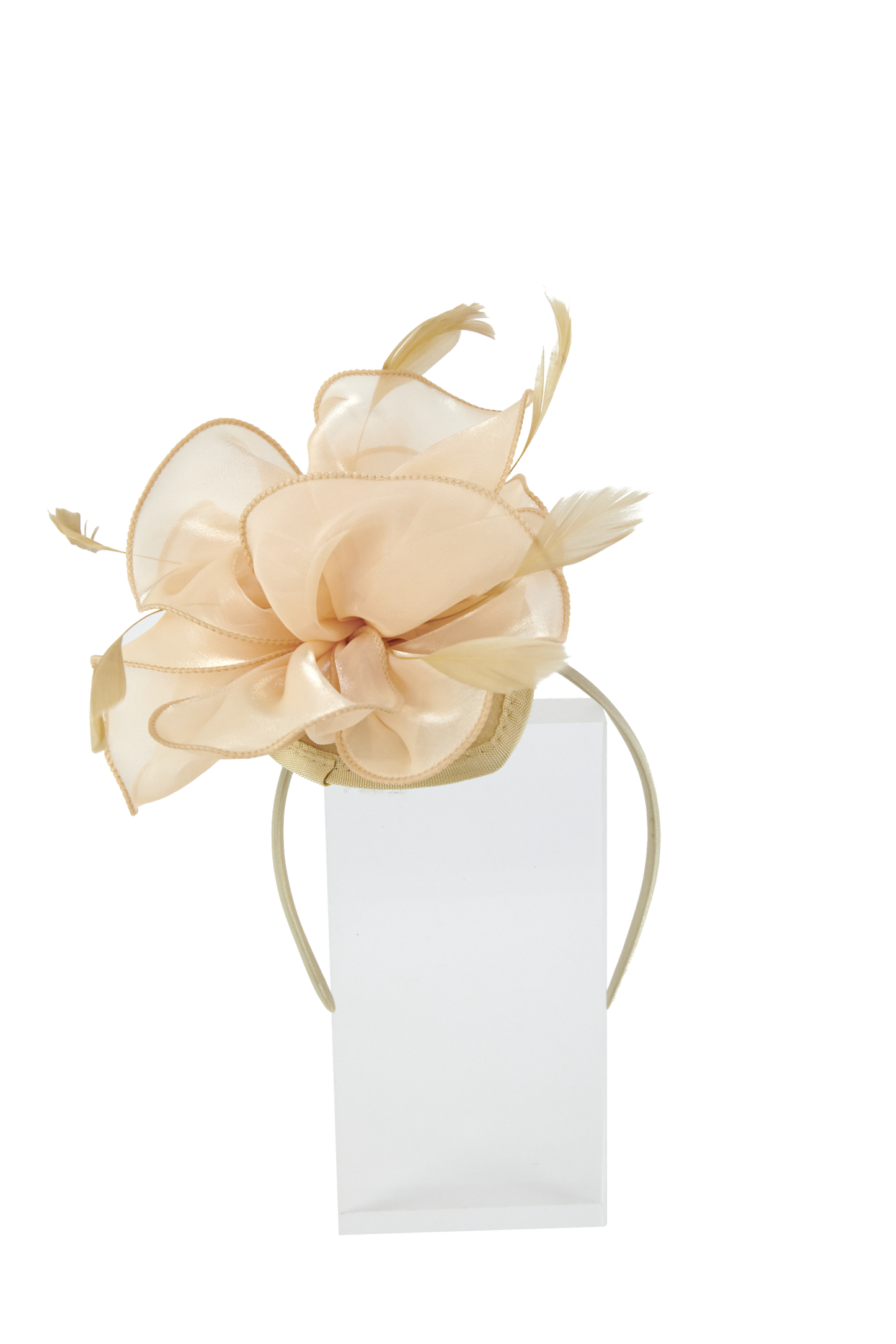 Headband And Clip Fascinator, Rose- Cream