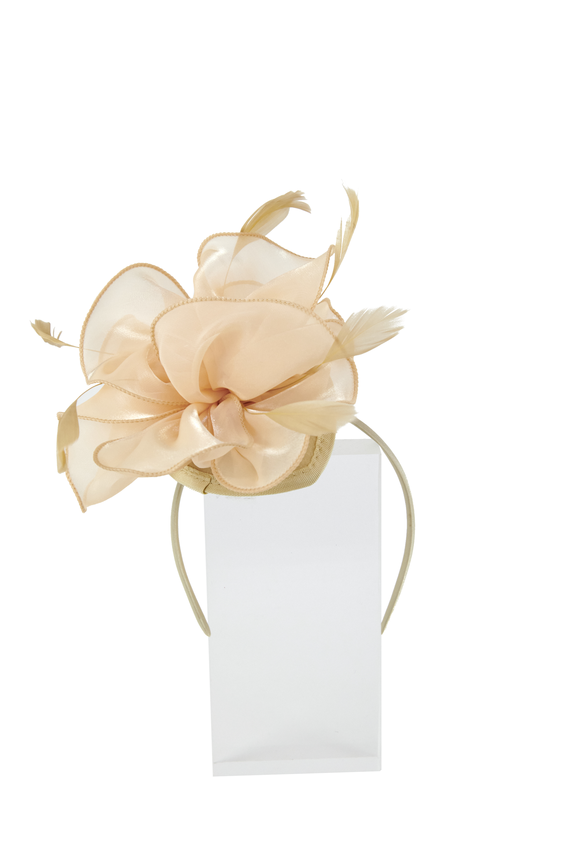 Headband And Clip Fascinator, Rose- Cream