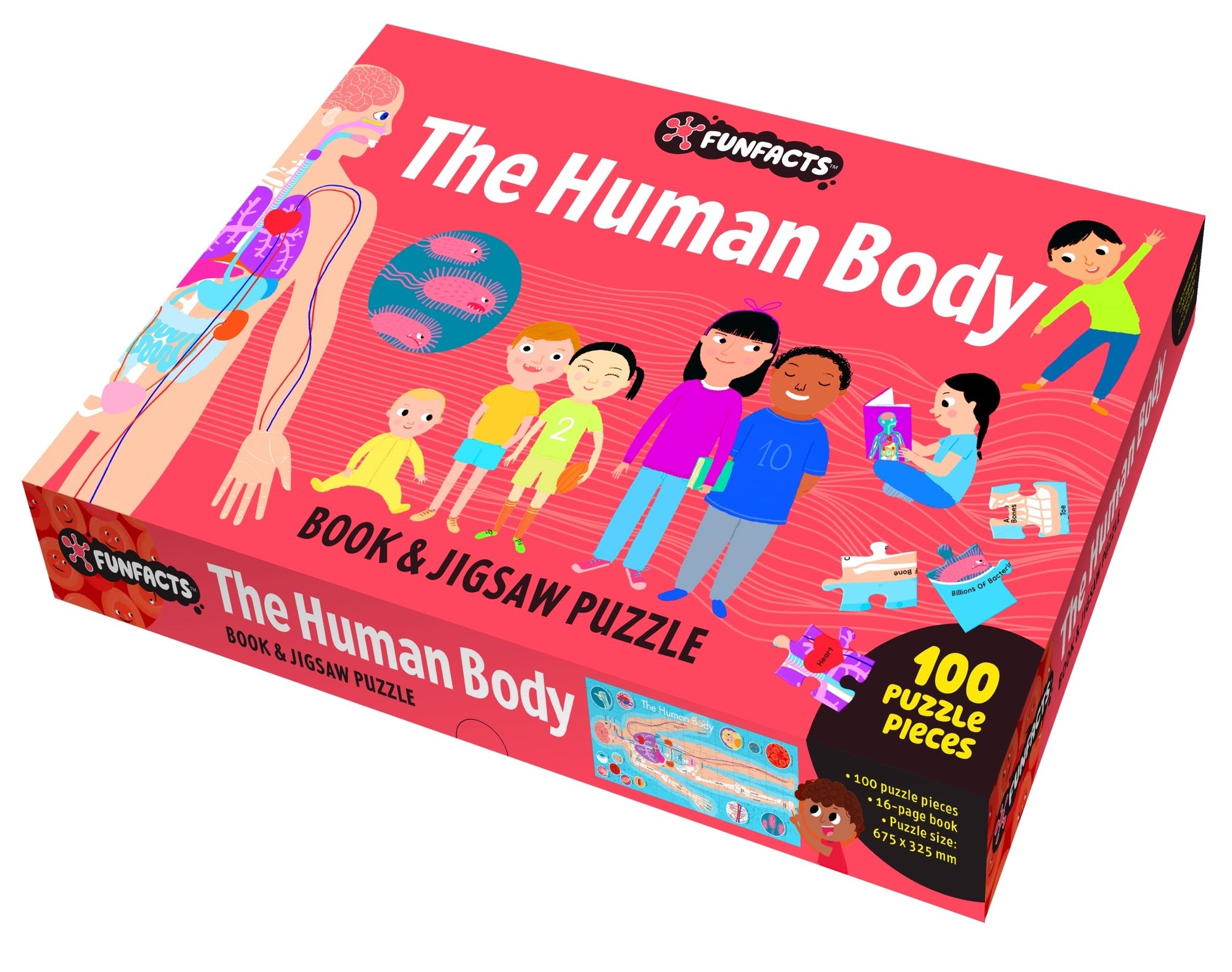 Factivity Vol. 2 Book & Jigsaw, The Human Body