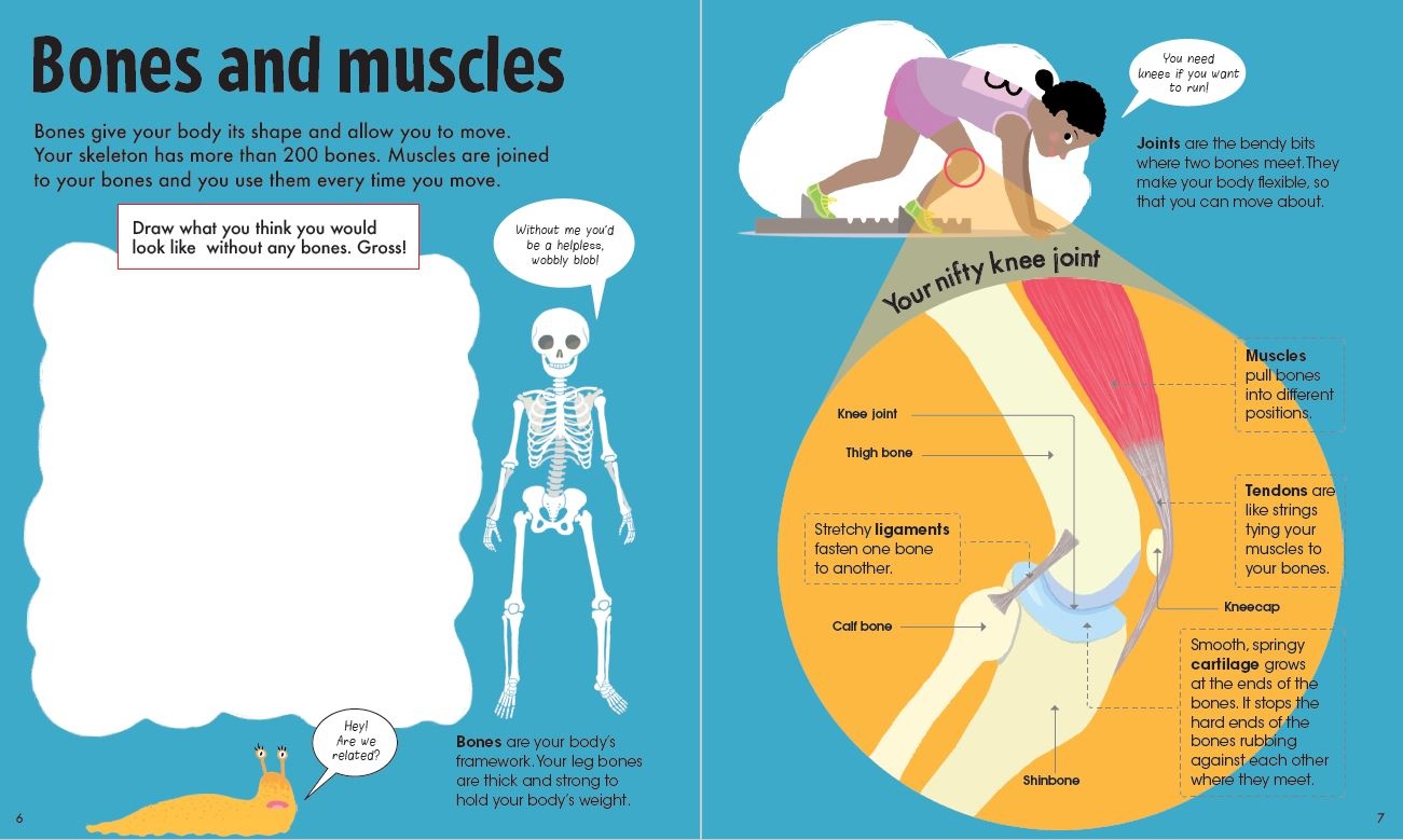 Factivity Vol. 2 Book & Jigsaw, The Human Body