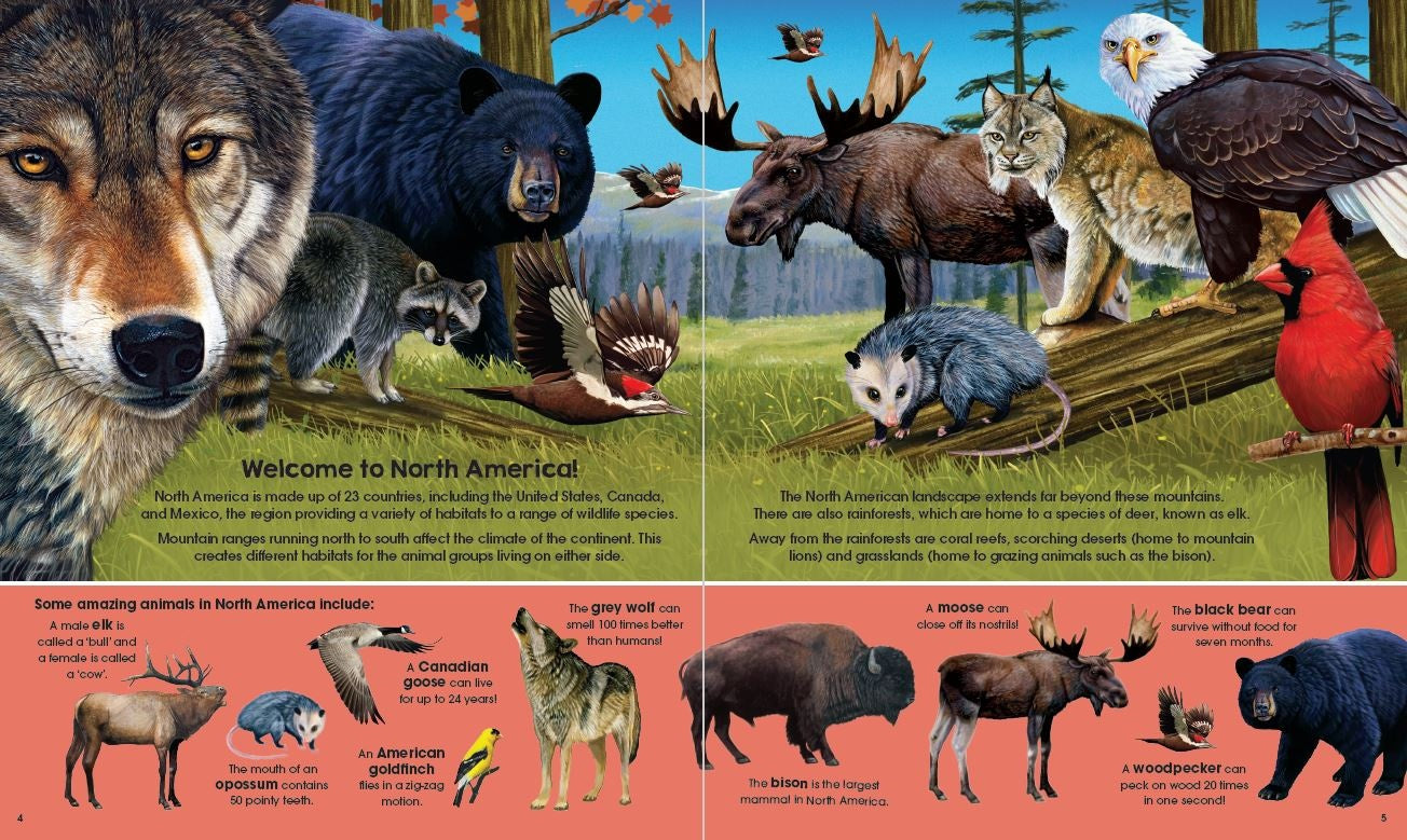 Garry Fleming's Book & Jigsaw Vol. 2, Wild Animals