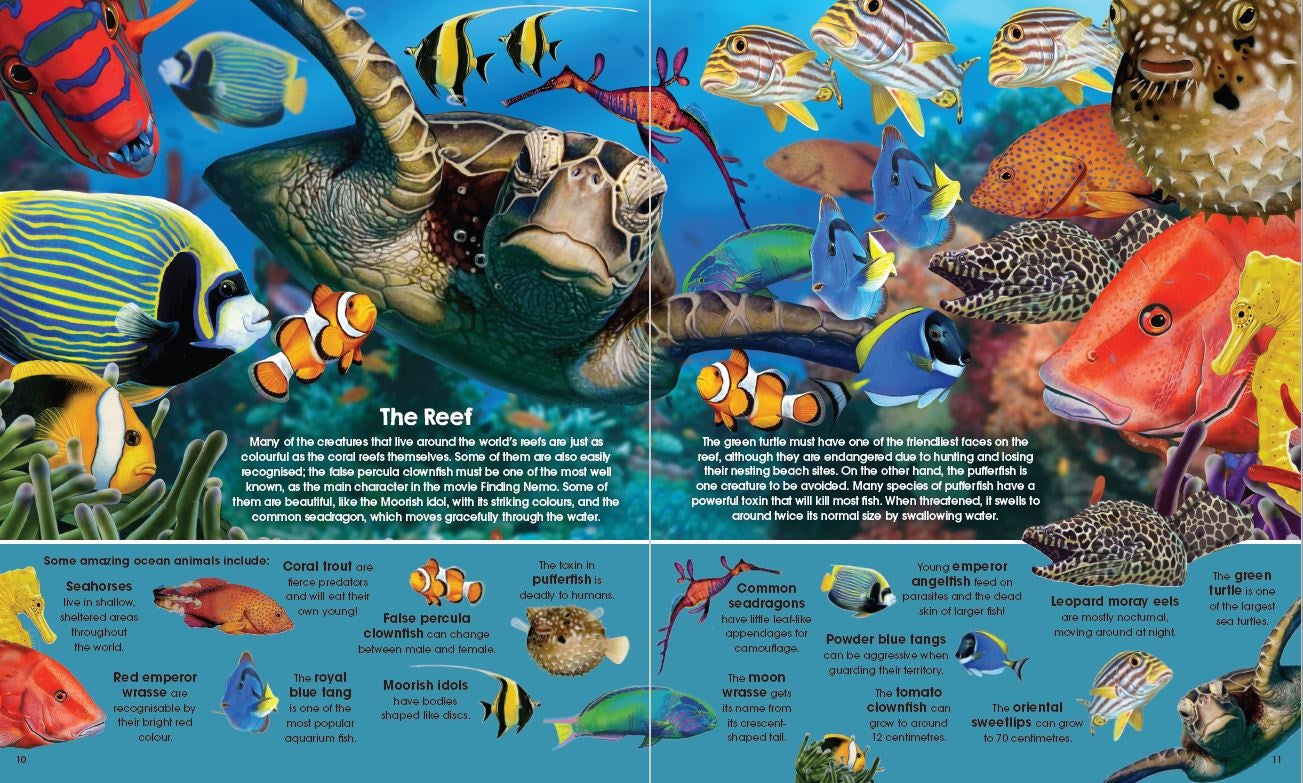 Garry Fleming's Book & Jigsaw Vol. 2, Sea Animals