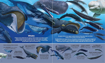 Garry Fleming's Book & Jigsaw Vol. 2, Sea Animals