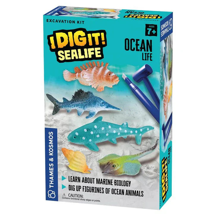 I Dig It! Sealife Ocean Life