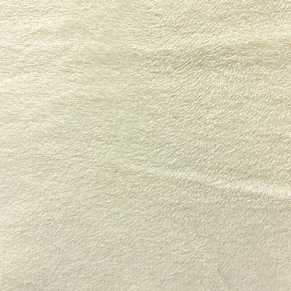Coral Fleece Plain Fabric
