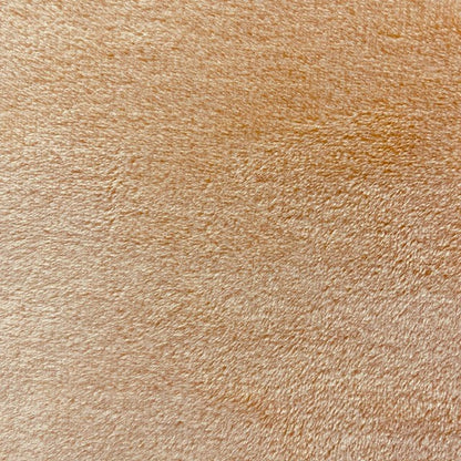 Coral Fleece Plain Fabric