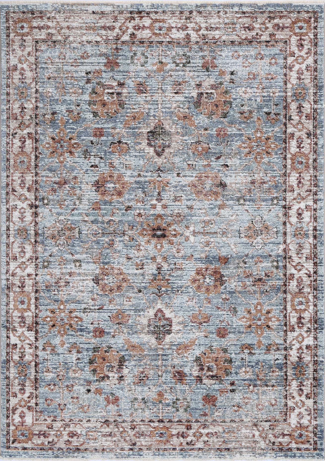 Baltimore Roanoke Transitional Blue Rug