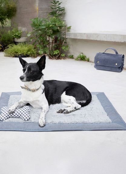 Burda Pattern 5702 Pet Accessories