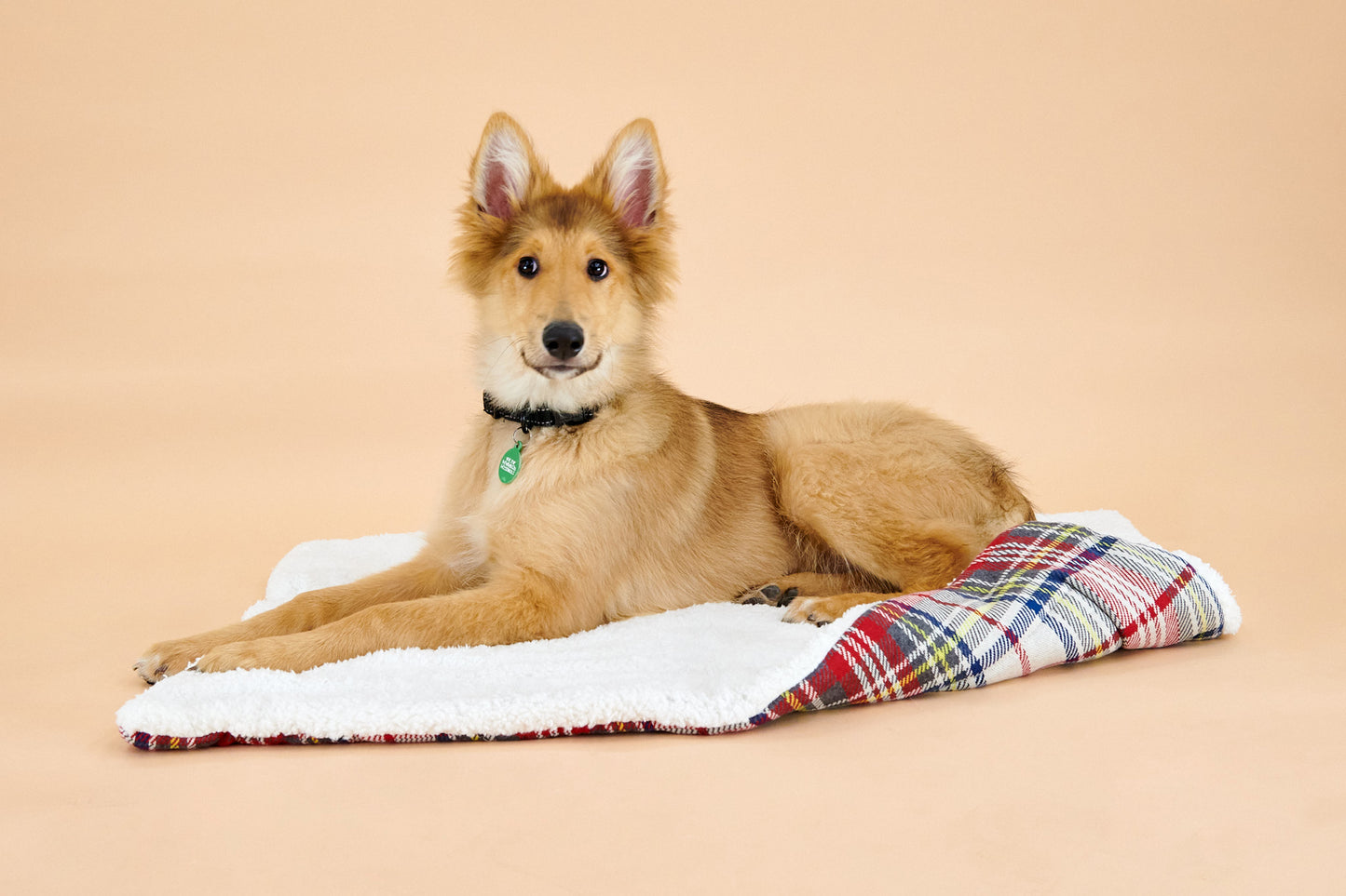 Barke & Howell Knitted Pet Bed- 70x90cm | Dog bed