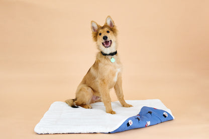 Barke & Howell Knitted Pet Bed- 70x90cm | Dog bed